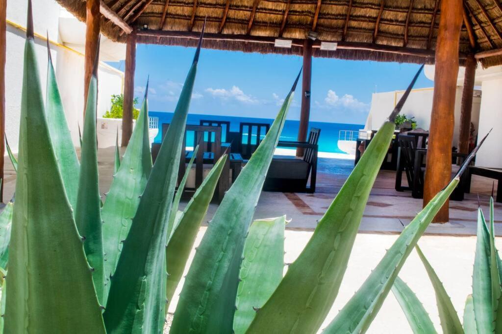 Ocean View Apartment, Best Beach Area, 3 Bedrooms Cancun Ngoại thất bức ảnh