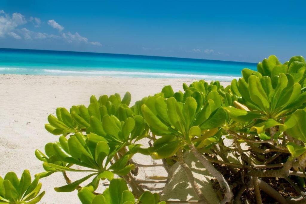 Ocean View Apartment, Best Beach Area, 3 Bedrooms Cancun Ngoại thất bức ảnh